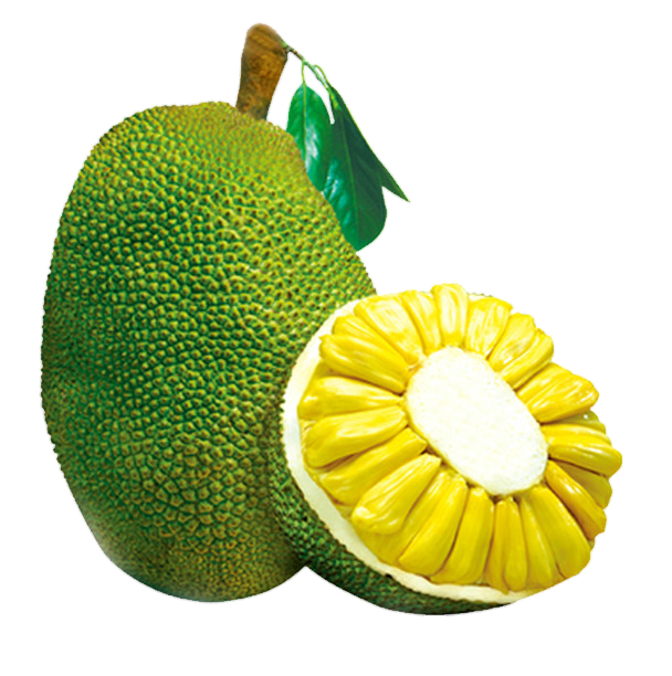 "Fresh jackfruit symbolizing pure organic goodness, representing a range of jackfruit-derived products, healthy and sustainable food options"